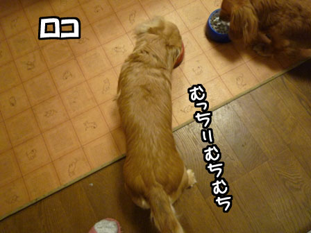 002_20120306223349.jpg