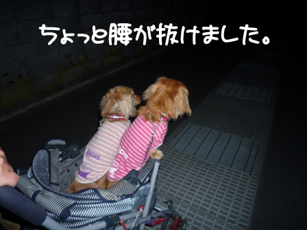 044_20120603220337.jpg