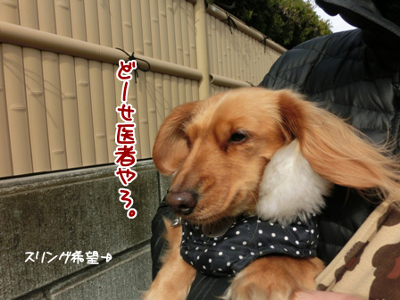 014_201502080027415fe.jpg
