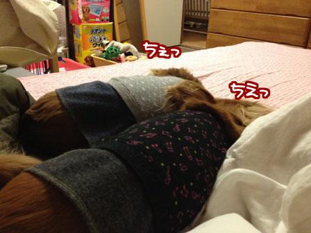 016_20120305211946.jpg