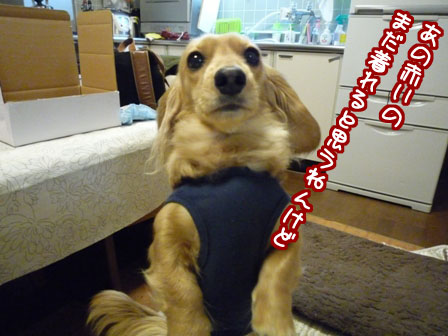 007_20120301234106.jpg