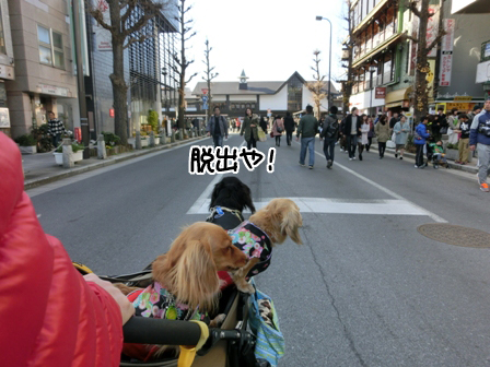 201601041.jpg