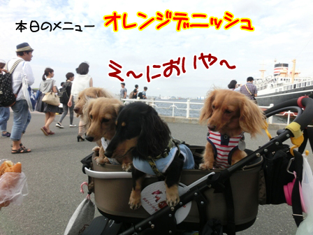 025_201408302206361df.jpg