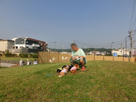 019_2014053123272868d.jpg