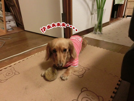 004_20130502215917.jpg