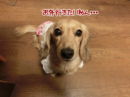 20151025012.jpg