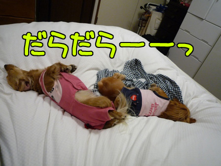 050_20110308232039.jpg