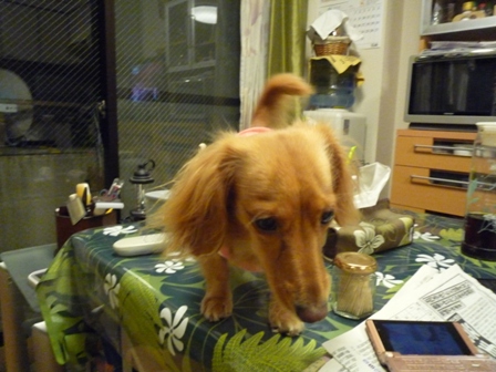 008_20110821022313.jpg