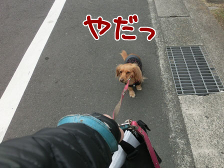 001_20131209220042e45.jpg