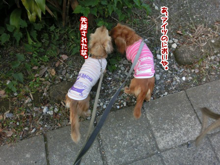 20151029014.jpg