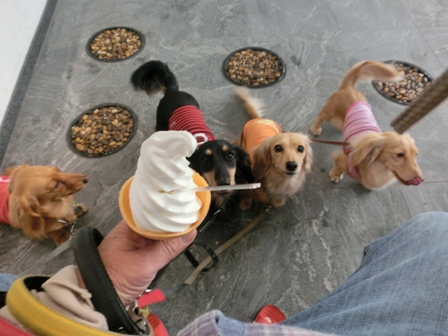 201603094.jpg