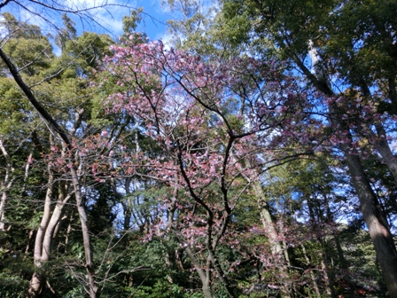201602225.jpg