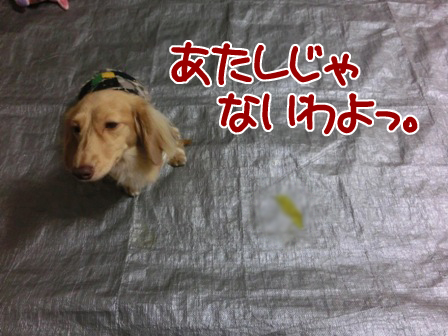 20150930005.jpg