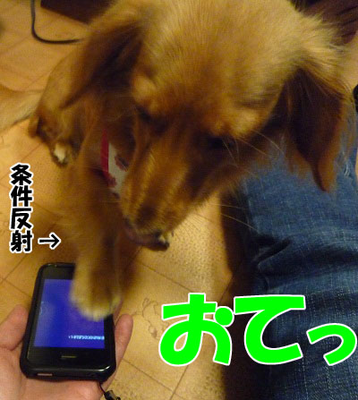 P1010862.jpg