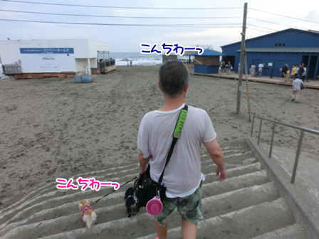 002_20150702225819271.jpg