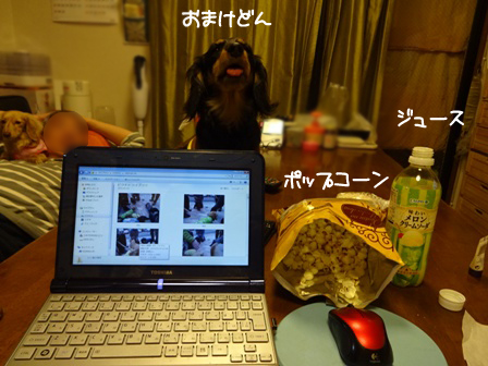 013_201503232325221c2.jpg