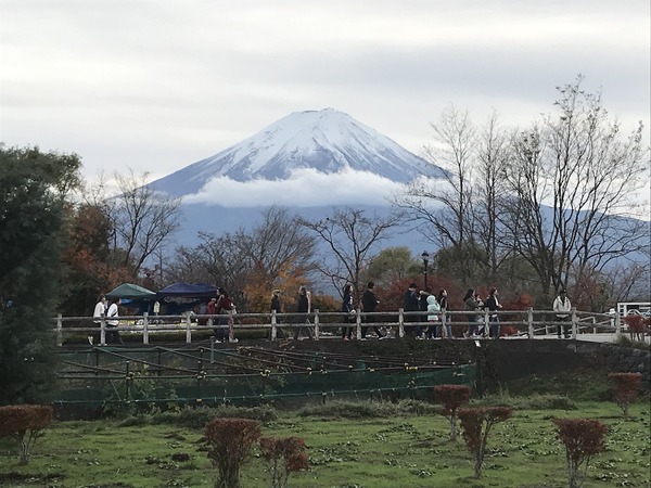 meruloco20181118-8