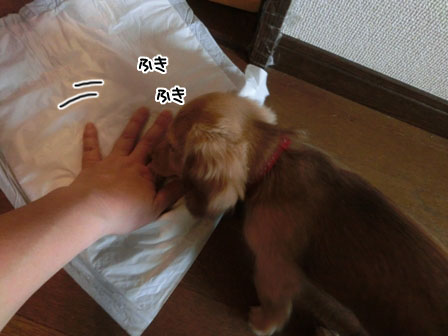 010_2013091023485516c.jpg