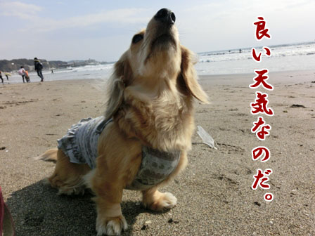 007_20130304232939.jpg