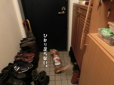 008_2014111200451910e.jpg