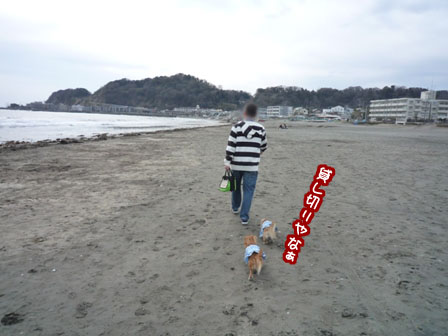 003_20120323004703.jpg