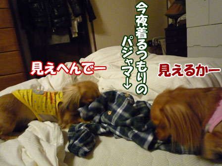 007_20101202221446.jpg