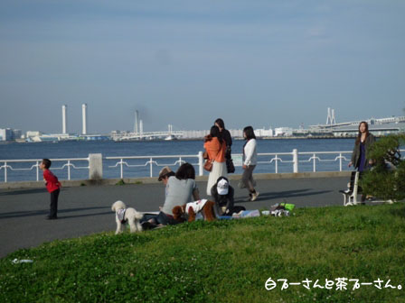 046_20120514001447.jpg