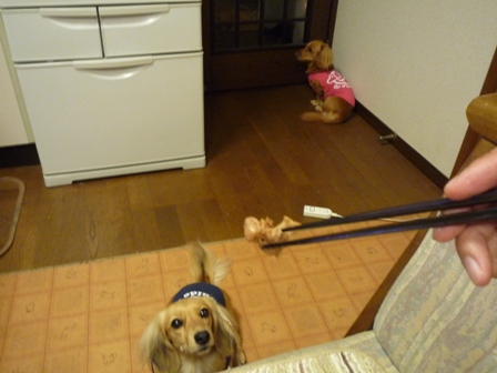 002_20111023233521.jpg