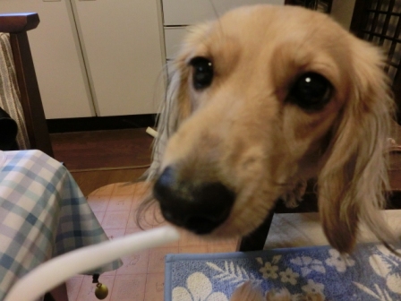 006_20120925230410.jpg