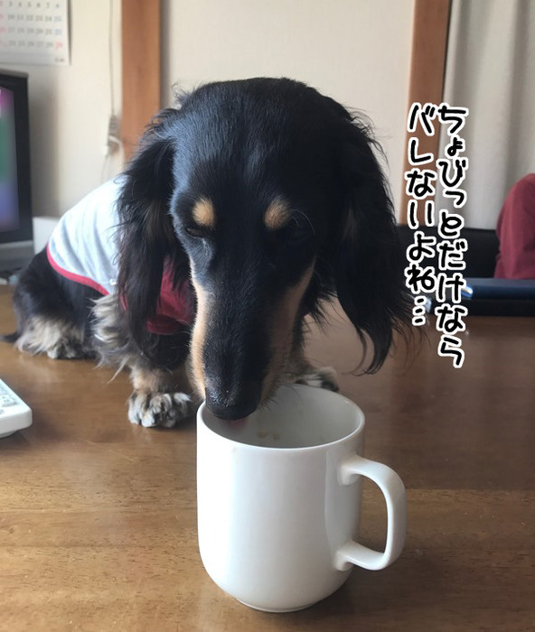 201703222