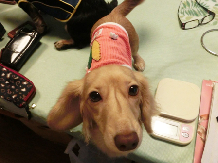 002_20140828223114eb1.jpg