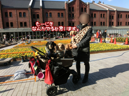 020_201403230012535fe.jpg