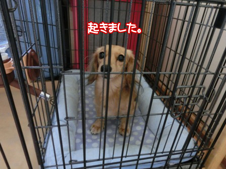 20151006003.jpg