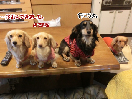 201603191.jpg