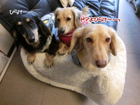 201601181.jpg
