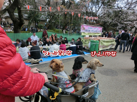 2016032809.jpg