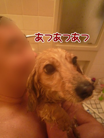 009_20120331232545.jpg