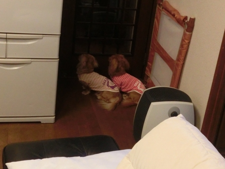 027_201412082339129d1.jpg