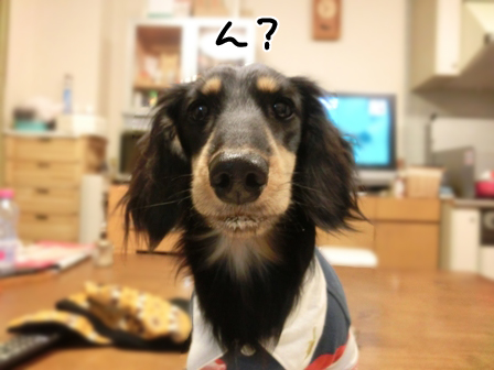 034_20150103223452fdb.jpg
