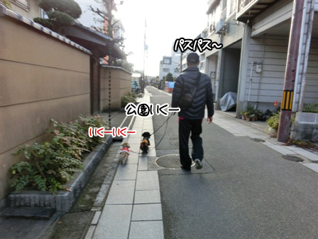 20601024.jpg