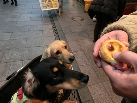 042_20140302010843cb7.jpg