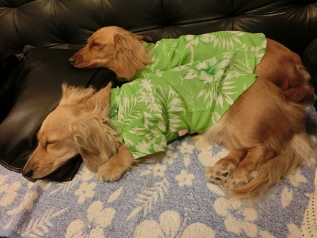 066_20130504234519.jpg