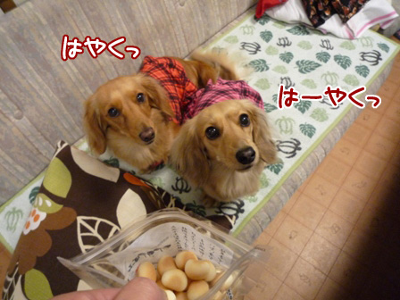 032_20110422232027.jpg