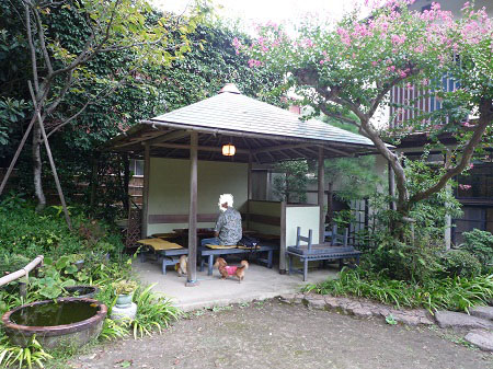 P1010443.jpg