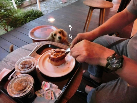 201605143.jpg