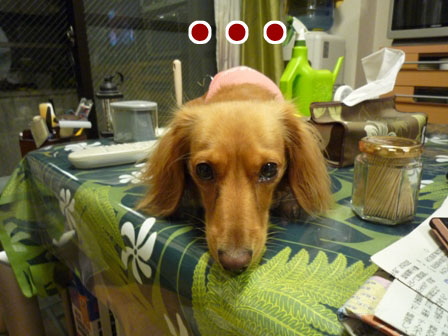 007_20110821022313.jpg