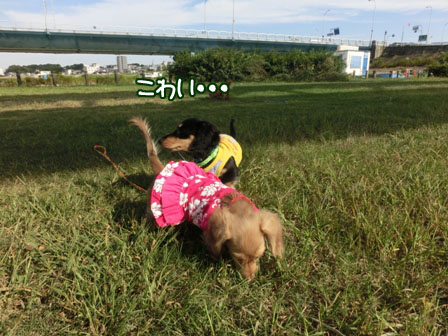 016_20130929010148b95.jpg