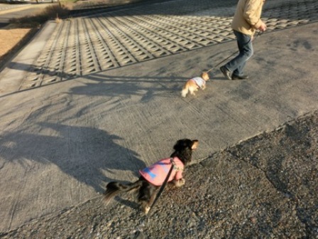 201512314.jpg
