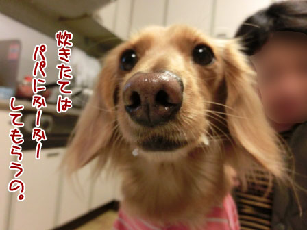 012_20130316000549.jpg