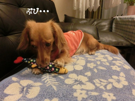 007_20120922013635.jpg